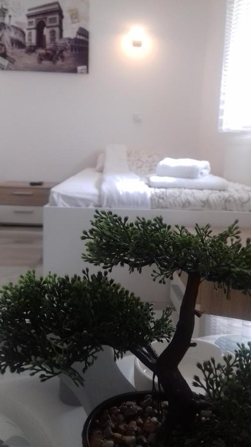 Mesecev Konak Bed & Breakfast Nis Bagian luar foto