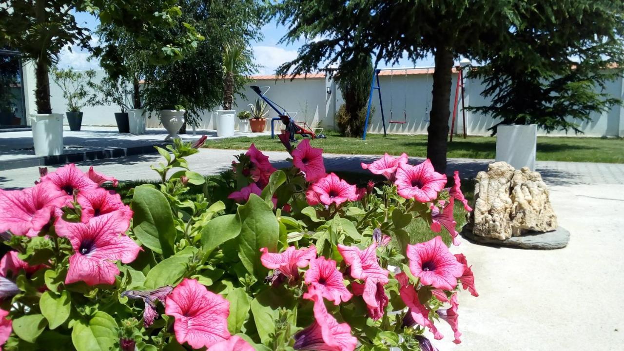 Mesecev Konak Bed & Breakfast Nis Bagian luar foto