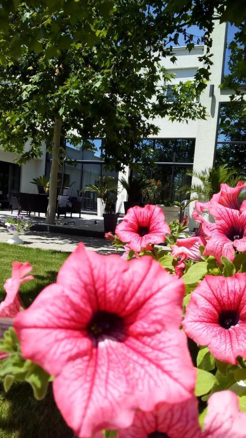 Mesecev Konak Bed & Breakfast Nis Bagian luar foto