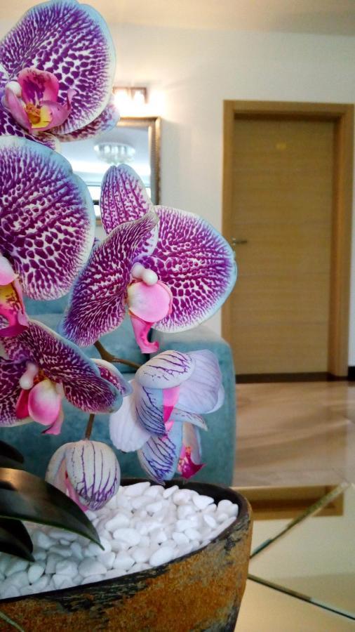Mesecev Konak Bed & Breakfast Nis Bagian luar foto